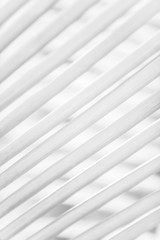 Abstract texture palm leaves on striped palm leaves blur backgrounds.
