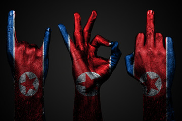 a set of three hands with a painted flag North Korea show middle finger, goat and Okay, a sign of aggression, protest and approval on a dark background.