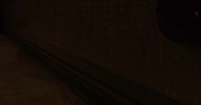 Automatic garage door. Open and close.