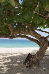 Grand Anse beach Grenada Caribbean sea