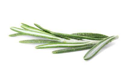 Fresh green rosemary twig on white background