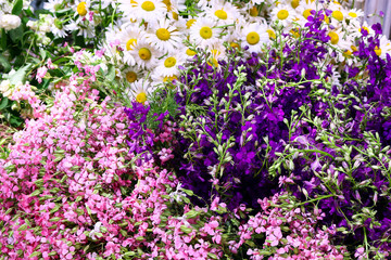 Naklejka premium Different wild flowers bunches.