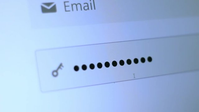 Enter the password for the website in the Internet. Encryption screen With flashing cursor.