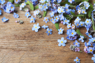 Obraz na płótnie Canvas Beautiful forget-me-not flowers on wooden background, space for text