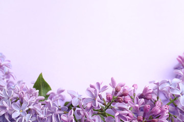 Fototapeta na wymiar Blossoming lilac flowers on color background, closeup. Space for text