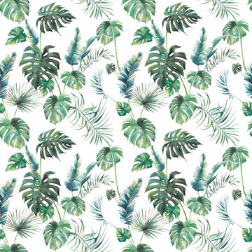 Watercolor tropical leaves surface design. Exotic monstera and palm green branches texture on white background. Summer plants seamless pattern © ldinka