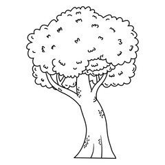 nature outdoor tree environment cartoon