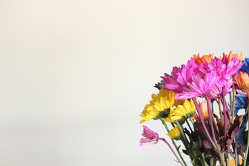 flower image with space for text