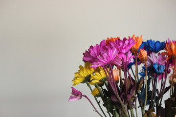 flower image with space for text