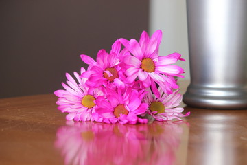 pink flowers with vase