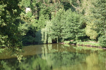 Fototapeta premium Picture