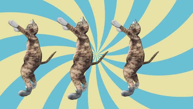 Cool and Fun Pet Dancing Gangnam Style. Crazy Kitty Moves to Music Wave. The Concept of Modern Animated Styling with Animals. Minimal Motion Collage art. Pussycat Mad Trend. Relax and Move to the Beat