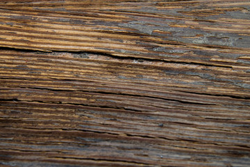 Fototapeta premium Old Cracked Wood