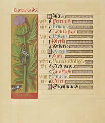 Manuscript book