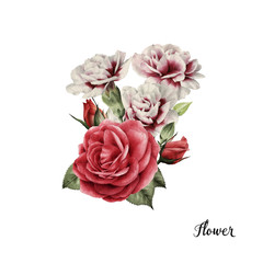 Bouquet of roses, watercolor, can be used as greeting card, invitation card for wedding, birthday and other holiday and  summer background