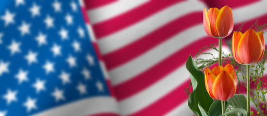 image festive flowers on American flag background