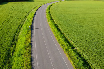 Road between fields