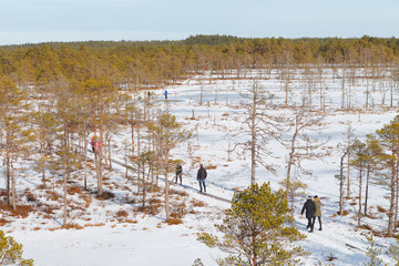 Viru Raba swampland from above at winter snowy season. Lahemaa National Park In Estonia. Winter Cold And Frosty Landscape.