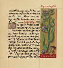 Manuscript book