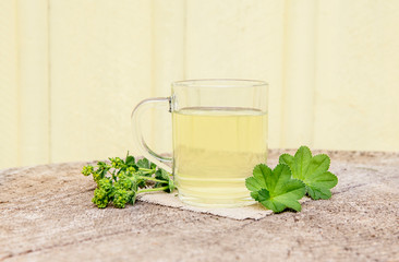 Alchemilla vulgaris, common lady's mantle medicinal herbal tea concept. Composition on natural wooden background.