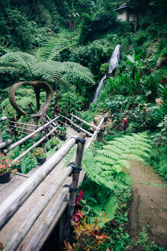 Gitgit waterfall at Bali, Indonesia