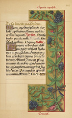 Manuscript book