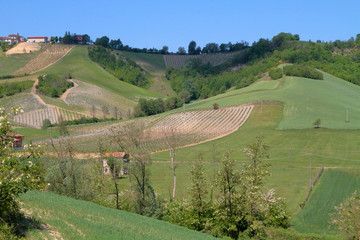 campo agricolo in collina in italia, agricultural field in the hills in Italy