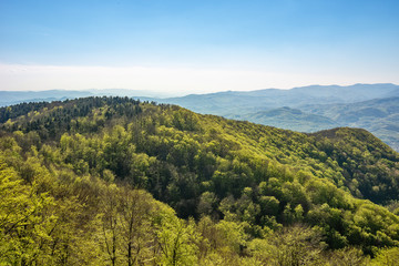 Fototapeta na wymiar Landscape with forest mountains in Serbia
