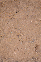 Old Weathered House of the Mud Wall