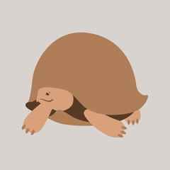 cartoon turtle, vector illustration,flat style