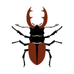 stag beetle, vector illustration,flat style