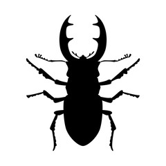 stag beetle, vector illustration,black silhouette