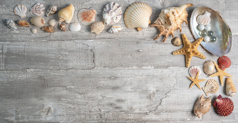Dekoration aus Muscheln auf Holzuntergrund