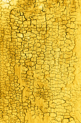 Yellow old wooden texture background. Creat background with copy space