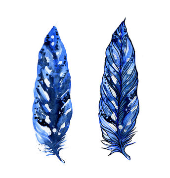 image of feathers of ecozotic birds (peacocks, pheasants, parrots). Set of 2 images. Color blue