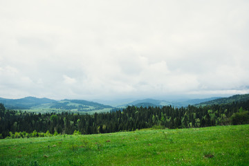 Obraz premium The mountains are covered with forest, after rain