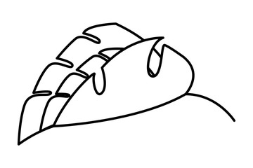 leaf foliage natural botanical