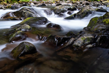 Fototapeta na wymiar A fast flowing shallow creek runs over algae covered pebbles and rocks in Olympic National Park, Washington State, USA, long exposure to add blurred motion to the water, nobody in the image