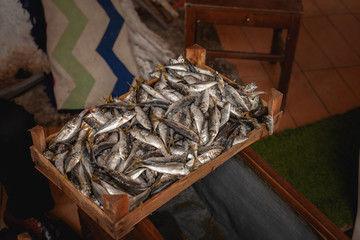 traveling around Istanbul Turkey 