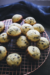 Fototapeta premium Mini Blueberry Muffins on Cooling Rack