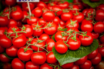 traveling around Istanbul Turkey 