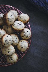 Obraz premium Chocolate Chip Muffins on Cooling Rack