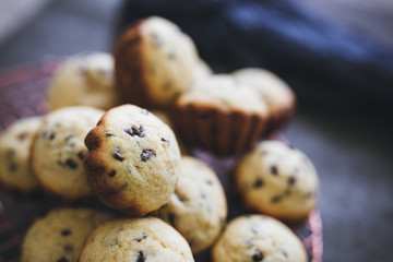 Close-Up of Mini Blueberry Muffins