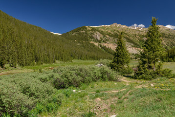 Fototapeta na wymiar trail along flower meadows in Lake Creek Valley near Independence Pass (Lake County, Colorado, USA)