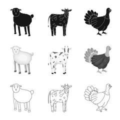 Isolated object of breeding and kitchen  sign. Collection of breeding and organic  stock vector illustration.