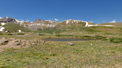 Fototapeta na wymiar alpine tundra summer landscape at Independence Pass (Colorado, USA)