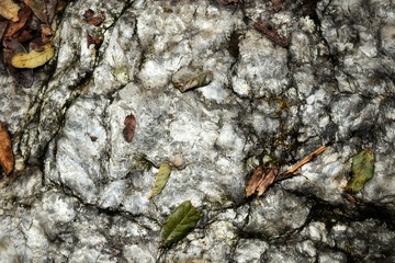 Wild nature stone texture,  Nepal, Himalaya