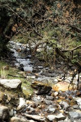 Nepal. Annapurna circuit  trek