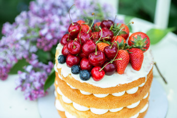 Homemade summer biscuit cake with cream and fresh berries In the garden