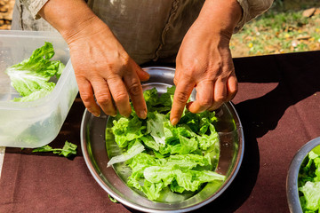 natural and organic salad products, ready to eat